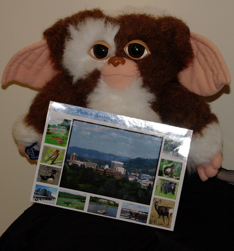 cute creature holding postcard